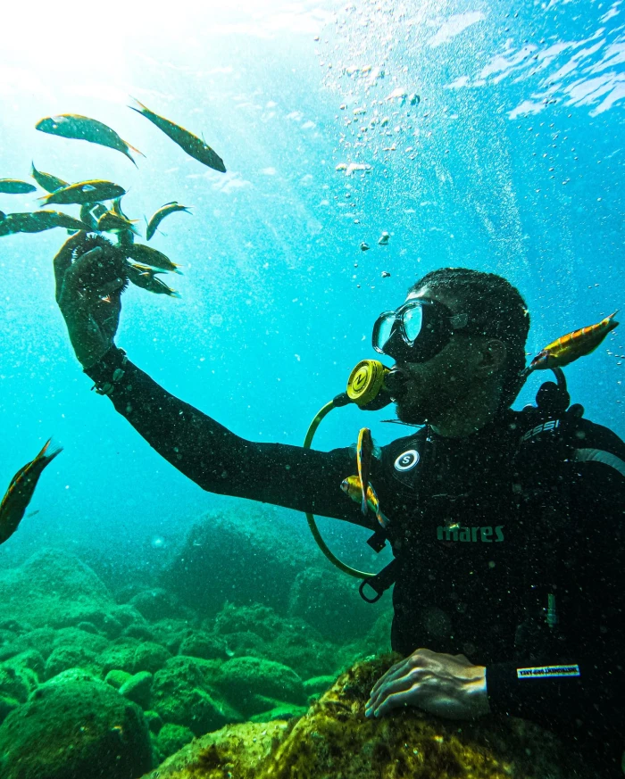 Marlarguito Plongée – Scuba Diving in M’diq - diving for rent in tetouan - RENTS.ma
