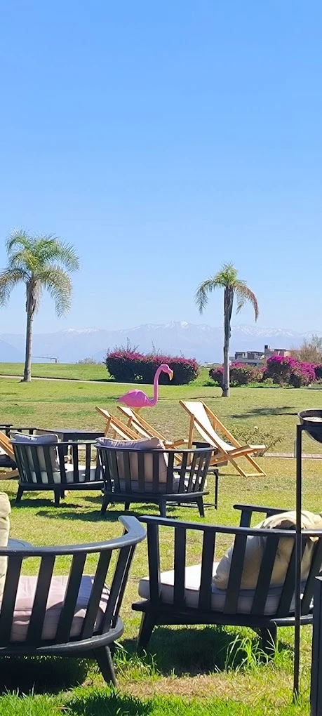 Argan Golf Resort marrakech - golf club - golf for rent in casablanca - RENTS.ma