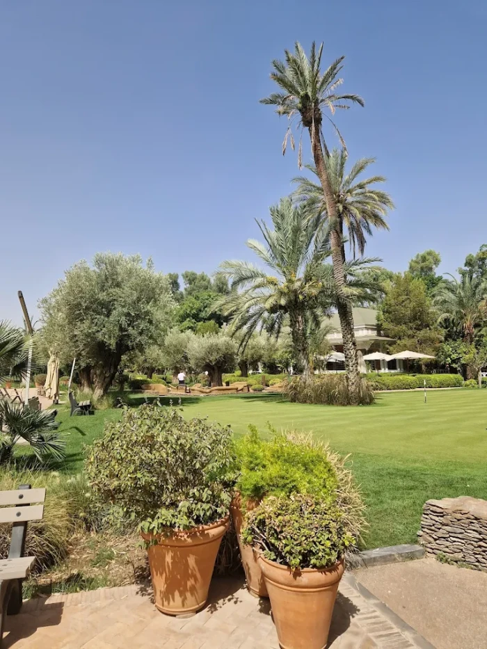 Royal Golf Marrakech ⛳🌴 | Historic Elegance & World-Class Golf - golf for rent in marrakech - RENTS.ma