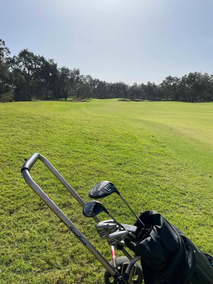 Royal Golf Dar Es Salam ⛳🌳 | Prestige, Nature & Championship Golf in Rabat - golf for rent in rabat - RENTS.ma