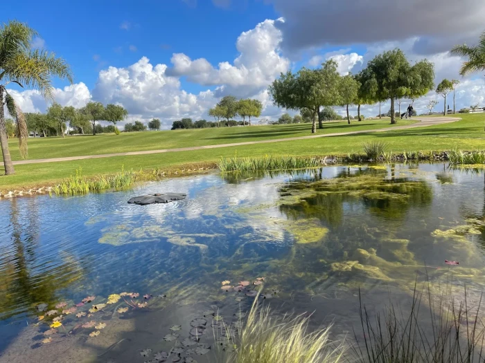 Prestigia Golf Bouskoura ⛳🌿 - golf for rent in casablanca - RENTS.ma
