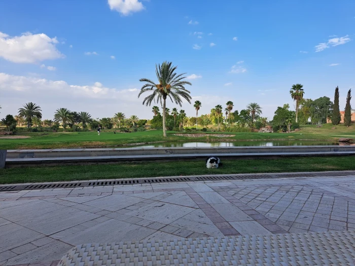 Atlas Golf Marrakech ⛳🌴 | Oasis Golfing in the Heart of the Red City - golf for rent in marrakech - RENTS.ma
