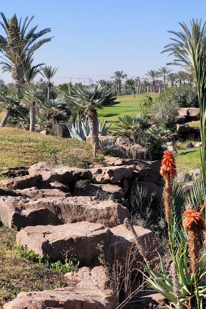 Atlas Golf Marrakech ⛳🌴 | Oasis Golfing in the Heart of the Red City - golf for rent in marrakech - RENTS.ma