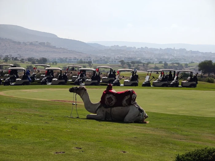 Golf Taghazout Bay ⛳🌊 | Oceanfront Golf Paradise in Morocco - golf for rent in taghazout - RENTS.ma