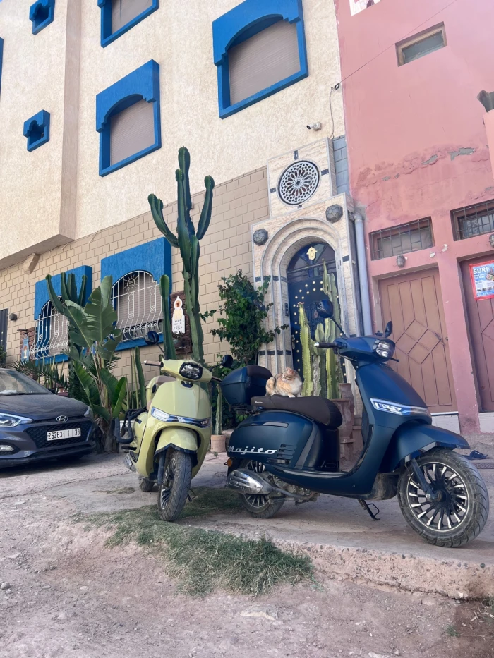 Rent a Surf Scooter in Taghazout with Board Rack & 2 Helmets 🛵🏄‍♂️ - motorcycles for rent in taghazout - RENTS.ma