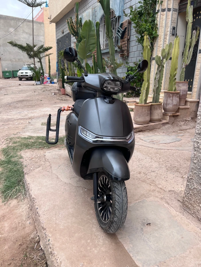 Surf Moped Rental Taghazout & Tamraght | Board Rack 🛵🏄‍♂️ - motorcycles for rent in taghazout - RENTS.ma