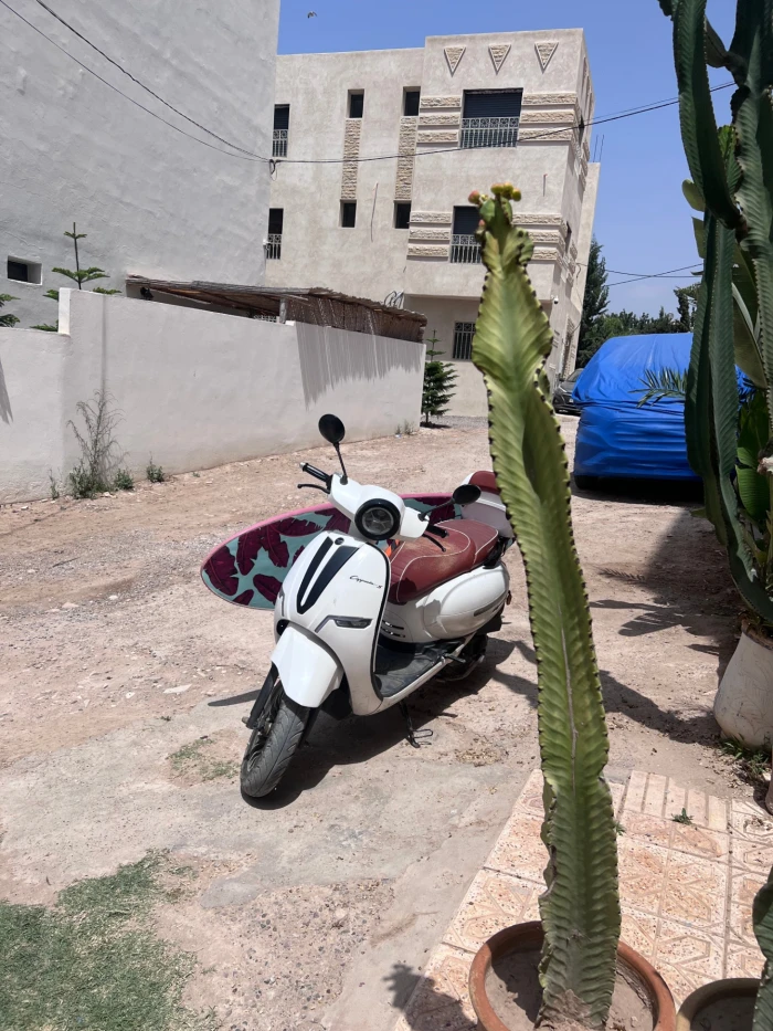 Taghazout Surf Moped Hire | Board Rack Included 🛵🏄‍♂️ - motorcycles for rent in taghazout - RENTS.ma