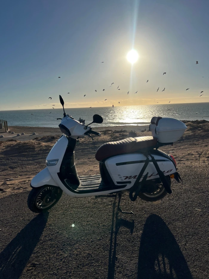 Tamraght Surf Scooter Rental – Moped with Surf Rack - motorcycles for rent in tamraght - RENTS.ma