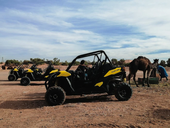 Quad biking rental services in Merzouga - motorcycles for rent in merzouga - RENTS.ma