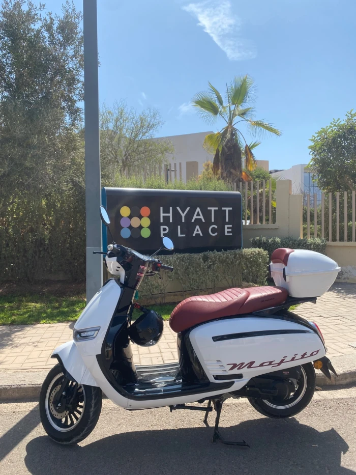 Scooter Rental in Agadir – Explore the City on Two Wheels 🛵 - scooters for rent in agadir - RENTS.ma