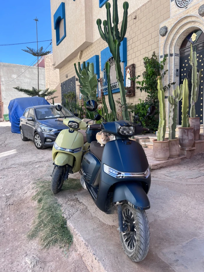 Moped for Rent in Taghazout with Surf Rack Included 🌊🏄‍♂️ - scooters for rent in taghazout - RENTS.ma