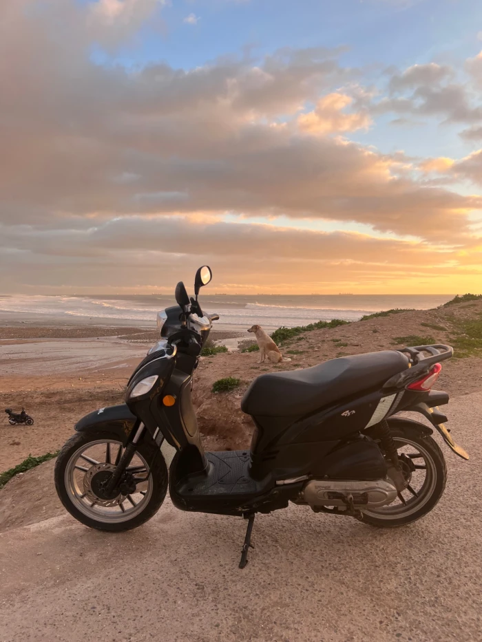 Moped Hire in Taghazout & Tamraght with Surf Rack 🌊🏄‍♂️ - scooters for rent in taghazout - RENTS.ma