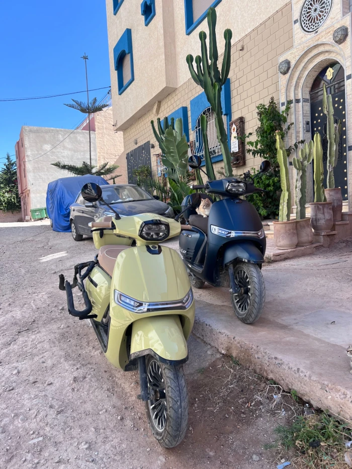 Tamraght Moped Hire with Surfboard Carrier 🛵🌊 - scooters for rent in tamraght - RENTS.ma