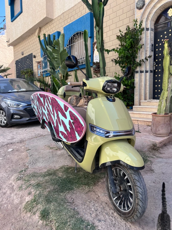 Tamraght Moped Hire with Surfboard Carrier 🛵🌊 - scooters for rent in tamraght - RENTS.ma