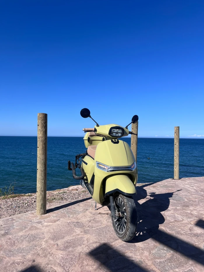 Tamraght Moped Hire with Surfboard Carrier 🛵🌊 - scooters for rent in tamraght - RENTS.ma