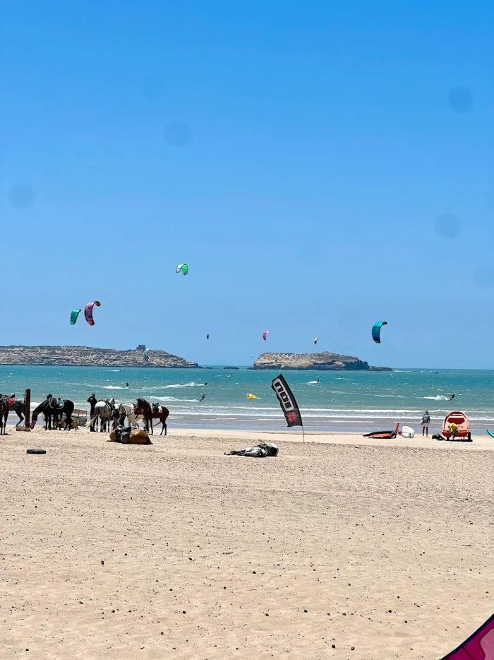 Olasurf Essaouira Kite & Surf School - surf for rent in essaouira - RENTS.ma