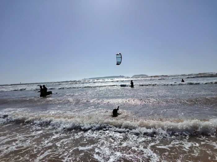 Kingdom Of Surf - Essaouira Surf - surf for rent in essaouira - RENTS.ma