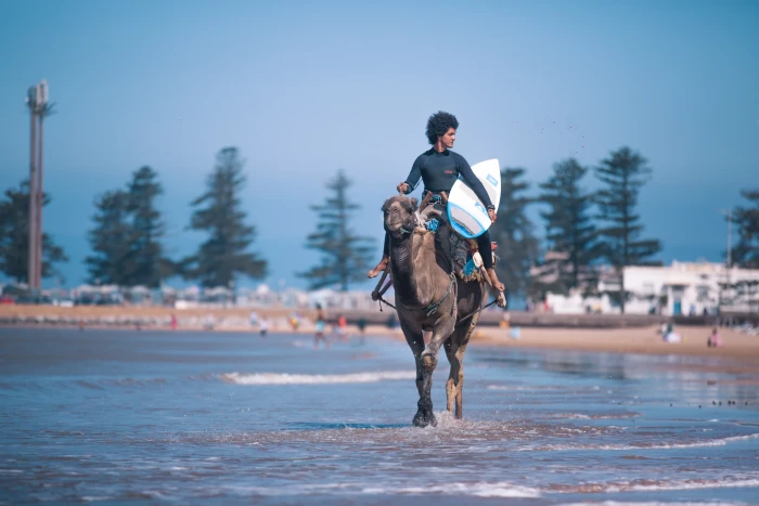 Ananas Kitesurfing School - surf for rent in essaouira - RENTS.ma
