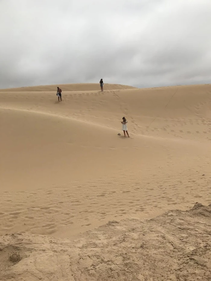 World of Waves - surfing in taghazout - surf for rent in taghazout - RENTS.ma