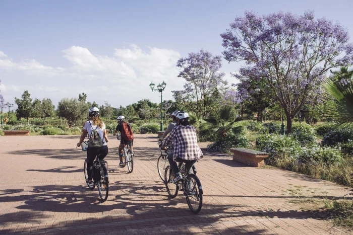 🚴‍♂️ Explore Marrakech Gardens by Bike – Best Green Spaces & Cultural Tour - tours for rent in marrakech - RENTS.ma