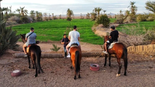 Marrakech : Visite privée à cheval dans la palmeraie avec thé - book activity in marrakech - RENTS.ma