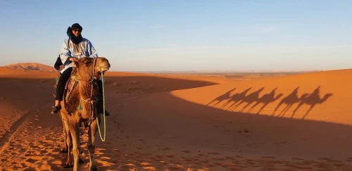 Sunset in Merzouga Sahara Desert & Camel Ride Erg Chebbi Dunes - book activity in errachidia - RENTS.ma
