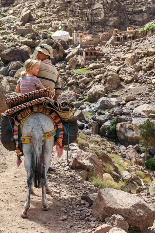 2 Days Mount Toubkal trek from Marrakech - book activity in marrakech - RENTS.ma