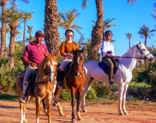 Marrakech: Palm Grove Horseback Riding Tour - book activity in marrakech - RENTS.ma