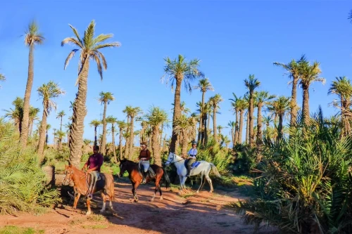 Marrakech: Palm Grove Horseback Riding Tour - book activity in marrakech - RENTS.ma