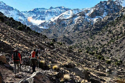 Toubkal Express - book activity in marrakech - RENTS.ma