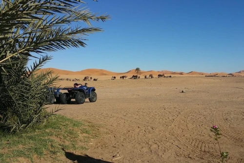 Quad Biking in Merzouga Dunes Desert Erg Chebbi - book activity in errachidia - RENTS.ma