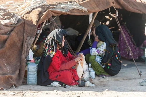 Berber Experience: Private Sahara Desert Half-Day Trip - book activity in errachidia - RENTS.ma