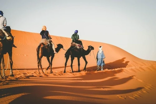 Sunset in Merzouga Sahara Desert & Camel Ride Erg Chebbi Dunes - book activity in errachidia - RENTS.ma