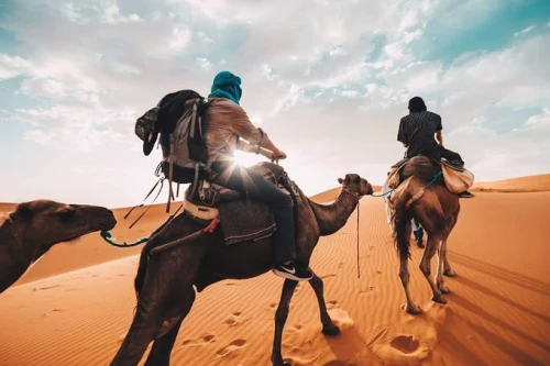 ✅ Camel Ride and Overnight in Sahara Desert Camp - book activity in errachidia - RENTS.ma