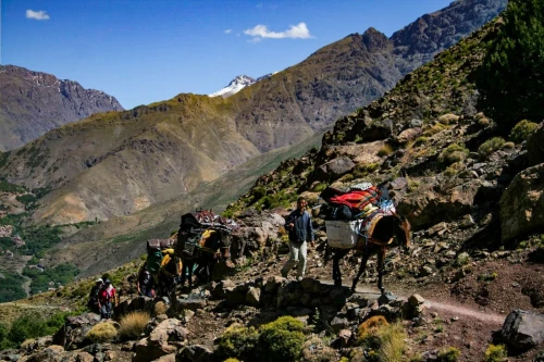 Toubkal Express - book activity in marrakech - RENTS.ma