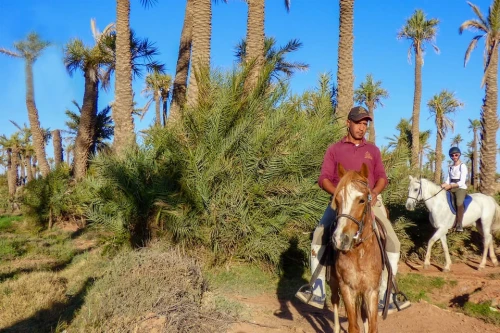 Marrakech: Palm Grove Horseback Riding Tour - book activity in marrakech - RENTS.ma