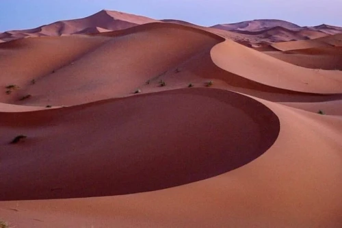 ✅ Camel Ride and Overnight in Sahara Desert Camp - book activity in errachidia - RENTS.ma