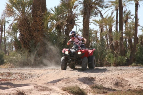 Quads & Buggys dans la Palmeraie - Marrakech - book activity in marrakech - RENTS.ma