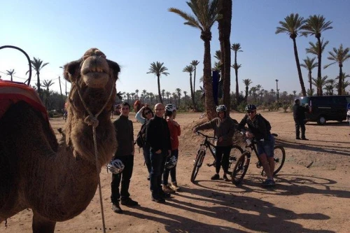 The Palmery Off-Road Bike Tour from Marrakech - book activity in marrakech - RENTS.ma