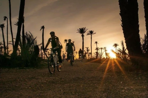 The Palmery Off-Road Bike Tour from Marrakech - book activity in marrakech - RENTS.ma
