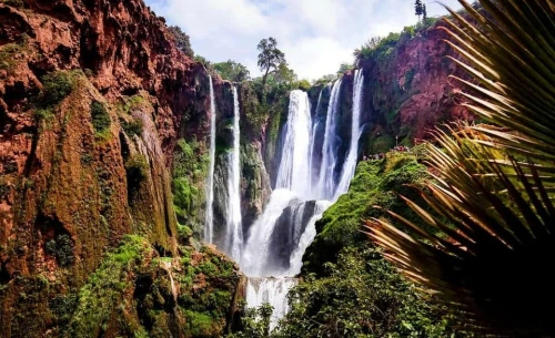 From Marrakech: Ouzoud Waterfalls Guided Hike and Boat Trip - book activity in marrakech - RENTS.ma