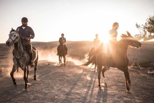 Horse Ride at Agafay - book activity in marrakech - RENTS.ma
