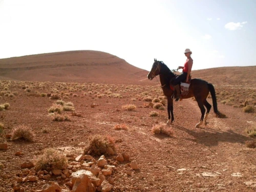 Horse Ride at Agafay - book activity in marrakech - RENTS.ma