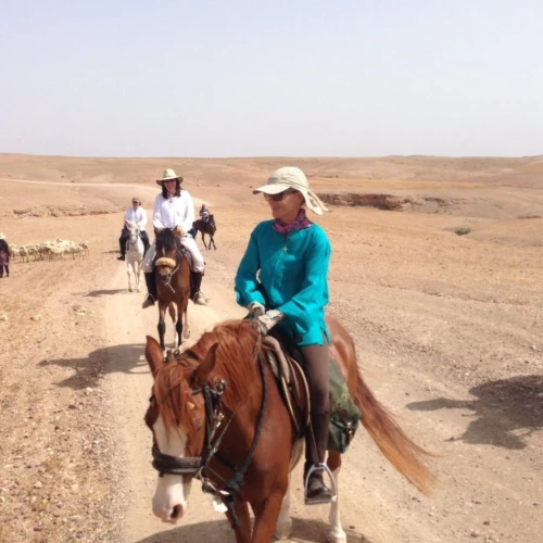 Horse Ride at Agafay - book activity in marrakech - RENTS.ma