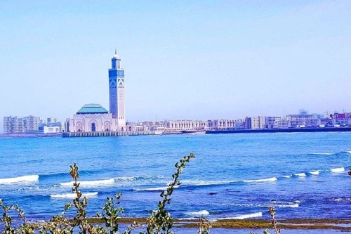 Rabat Walking Tour with a Licensed Tour Guide - book activity in rabat - RENTS.ma