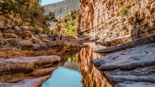 Agadir: Guided Excursion to Paradise Valley - book activity in rabat - RENTS.ma