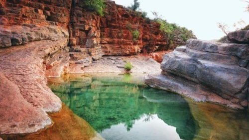 Agadir: Guided Excursion to Paradise Valley - book activity in rabat - RENTS.ma