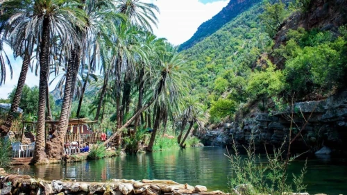 Agadir: Guided Excursion to Paradise Valley - book activity in rabat - RENTS.ma