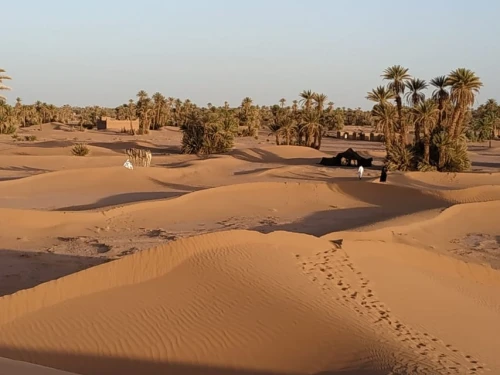 From Marrakech: Private Chegaga Desert Star Gazing 4WD Tour - book activity in rabat - RENTS.ma