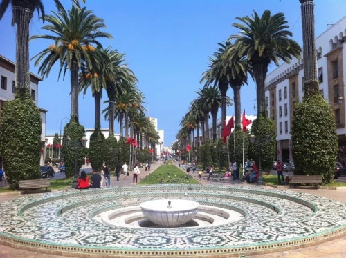 Rabat: Private Half-Day City Tour - book activity in rabat - RENTS.ma